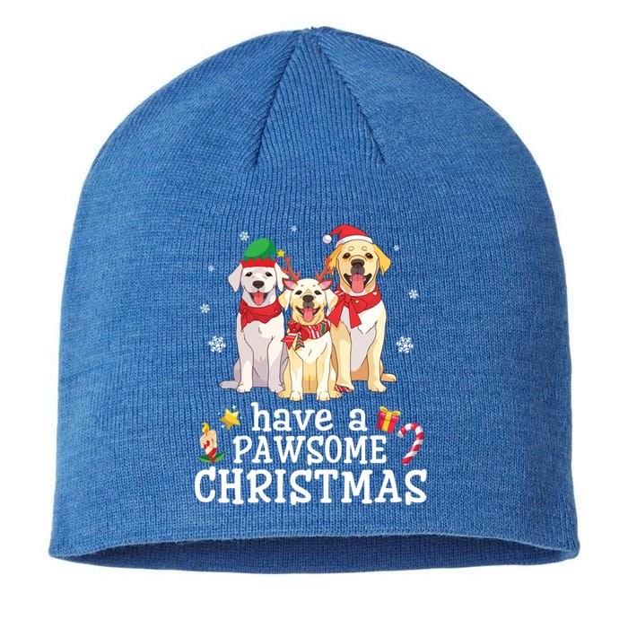 Labrador Retriever Dogs Merry Day Have A Pawsome Christmas Gift Sustainable Beanie