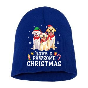 Labrador Retriever Dogs Merry Day Have A Pawsome Christmas Gift Short Acrylic Beanie