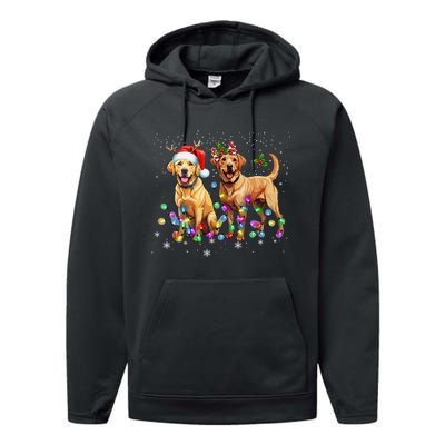 Labrador Retriever Dog Santa Hat Lights Christmas Performance Fleece Hoodie