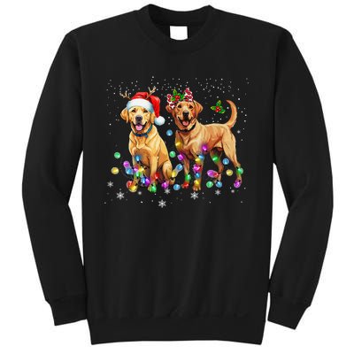 Labrador Retriever Dog Santa Hat Lights Christmas Sweatshirt