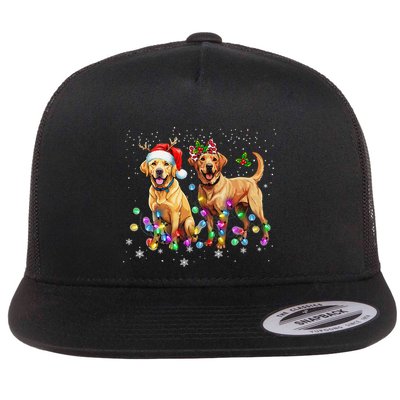 Labrador Retriever Dog Santa Hat Lights Christmas Flat Bill Trucker Hat