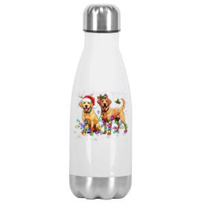 Labrador Retriever Dog Santa Hat Lights Christmas Stainless Steel Insulated Water Bottle