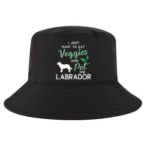 Labrador Retriever Dog Cigar Lover Owner Xmas Birthday Gift Cool Comfort Performance Bucket Hat