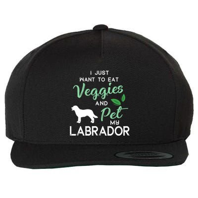 Labrador Retriever Dog Cigar Lover Owner Xmas Birthday Gift Wool Snapback Cap