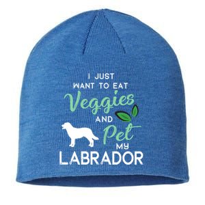 Labrador Retriever Dog Cigar Lover Owner Xmas Birthday Gift Sustainable Beanie