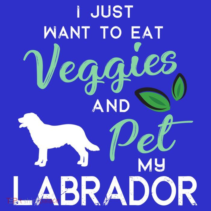 Labrador Retriever Dog Cigar Lover Owner Xmas Birthday Gift Premium T-Shirt