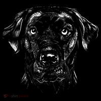Labrador Retriever Dog Button