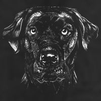Labrador Retriever Dog 15oz Campfire Ceramic Mug