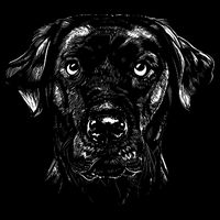 Labrador Retriever Dog Premium T-Shirt