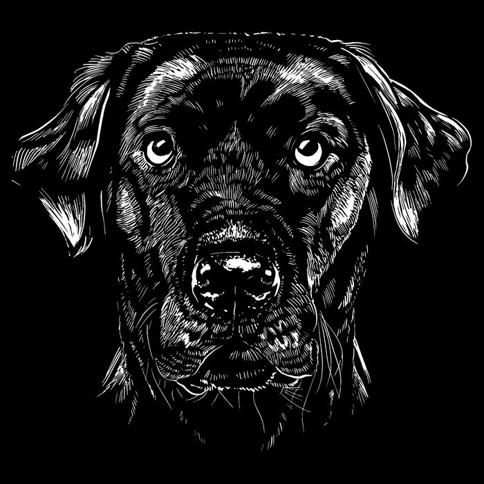 Labrador Retriever Dog Premium T-Shirt