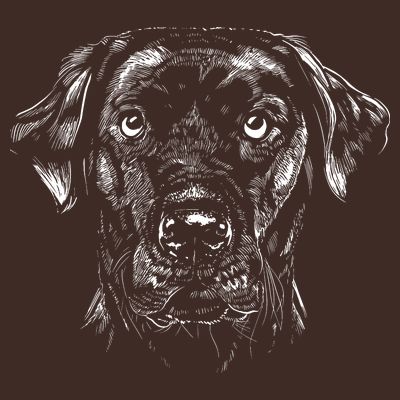 Labrador Retriever Dog T-Shirt