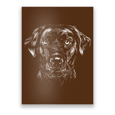 Labrador Retriever Dog Poster