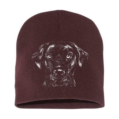 Labrador Retriever Dog Short Acrylic Beanie