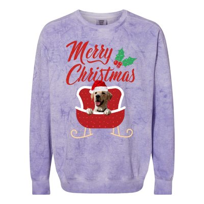 Labrador Retriever Dog Merry Christmas Design For The Holiday Season! Colorblast Crewneck Sweatshirt