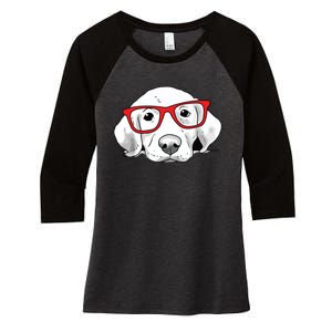 Labrador Retriever Dog With Red Glasses Puppy Dog Women's Tri-Blend 3/4-Sleeve Raglan Shirt