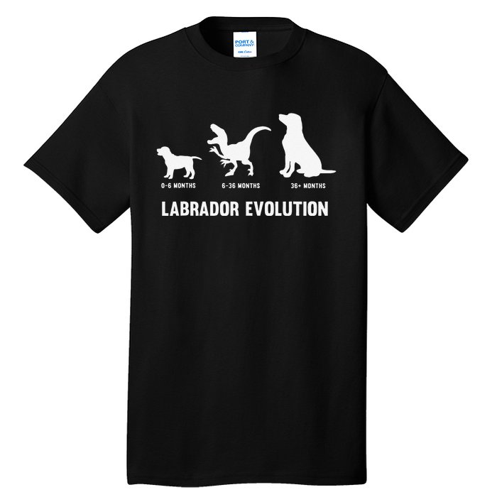 Labrador Retriever Evolution Design for a Labrador Owner Tall T-Shirt