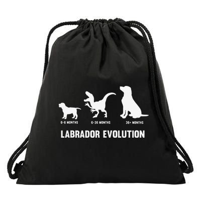 Labrador Retriever Evolution Design for a Labrador Owner Drawstring Bag