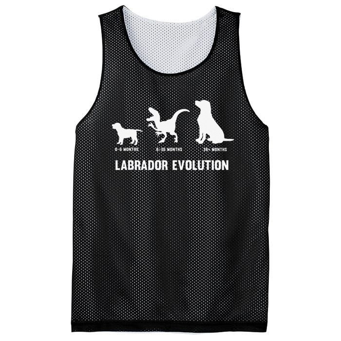 Labrador Retriever Evolution Design for a Labrador Owner Mesh Reversible Basketball Jersey Tank