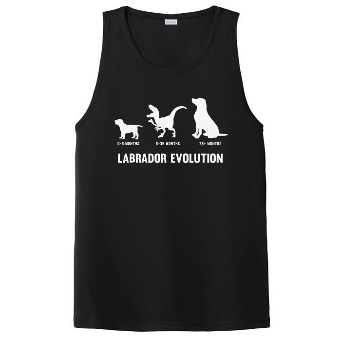 Labrador Retriever Evolution Design for a Labrador Owner PosiCharge Competitor Tank