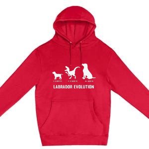 Labrador Retriever Evolution Design for a Labrador Owner Premium Pullover Hoodie