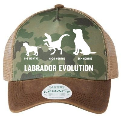 Labrador Retriever Evolution Design For A Labrador Owner Legacy Tie Dye Trucker Hat