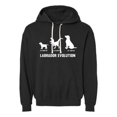Labrador Retriever Evolution Design For A Labrador Owner Garment-Dyed Fleece Hoodie
