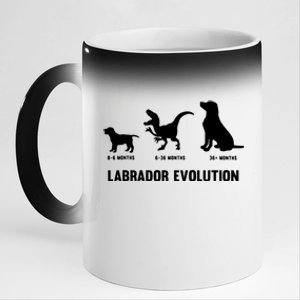 Labrador Retriever Evolution Design For A Labrador Owner 11oz Black Color Changing Mug