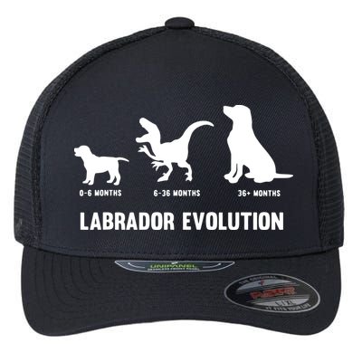 Labrador Retriever Evolution Design For A Labrador Owner Flexfit Unipanel Trucker Cap