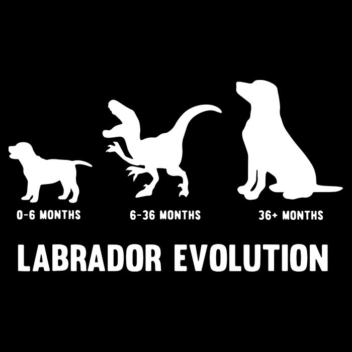 Labrador Retriever Evolution Design For A Labrador Owner Performance Shirt