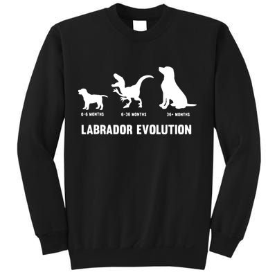 Labrador Retriever Evolution Design For A Labrador Owner Sweatshirt