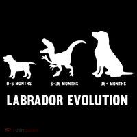 Labrador Retriever Evolution Design For A Labrador Owner Sweatshirt