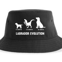Labrador Retriever Evolution Design For A Labrador Owner Sustainable Bucket Hat