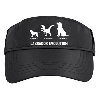Labrador Retriever Evolution Design For A Labrador Owner Adult Drive Performance Visor
