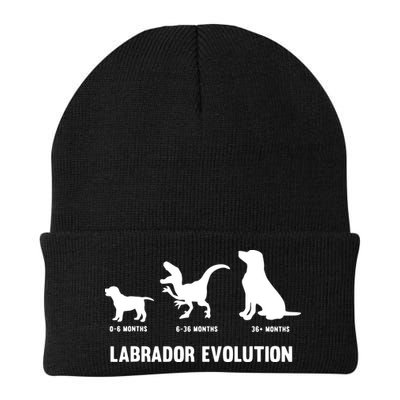 Labrador Retriever Evolution Design For A Labrador Owner Beanie