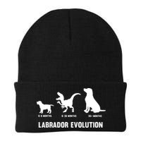 Labrador Retriever Evolution Design For A Labrador Owner Beanie