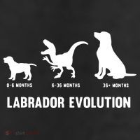 Labrador Retriever Evolution Design For A Labrador Owner Beanie