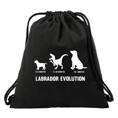 Labrador Retriever Evolution Design For A Labrador Owner Drawstring Bag