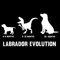 Labrador Retriever Evolution Design For A Labrador Owner Drawstring Bag