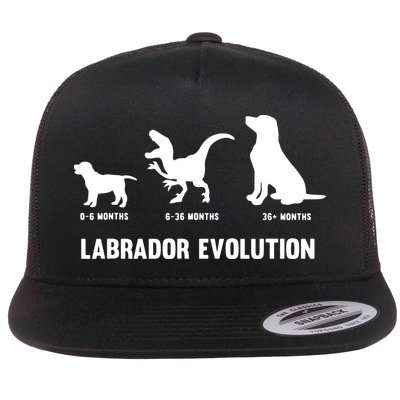 Labrador Retriever Evolution Design For A Labrador Owner Flatbill Hat