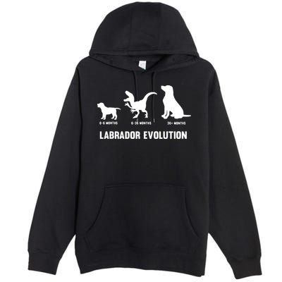 Labrador Retriever Evolution Design For A Labrador Owner Premium Pullover Hoodie