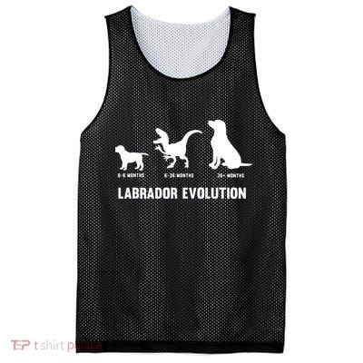Labrador Retriever Evolution Design For A Labrador Owner Mesh Reversible Basketball Jersey Tank