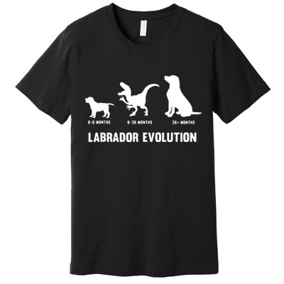 Labrador Retriever Evolution Design For A Labrador Owner Premium T-Shirt