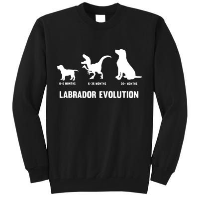Labrador Retriever Evolution Design For A Labrador Owner Tall Sweatshirt