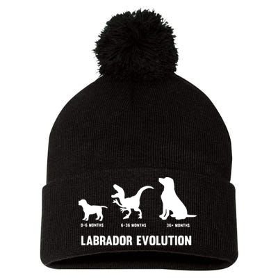 Labrador Retriever Evolution Design For A Labrador Owner Pom Pom 12in Knit Beanie