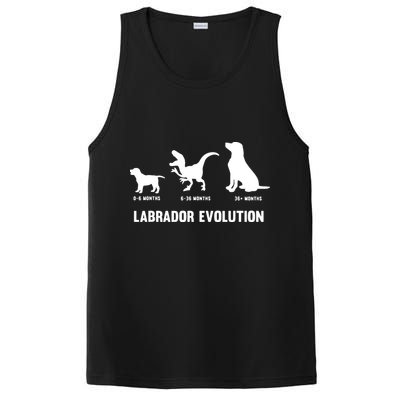 Labrador Retriever Evolution Design For A Labrador Owner PosiCharge Competitor Tank