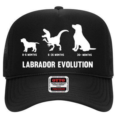 Labrador Retriever Evolution Design For A Labrador Owner Trucker Hat