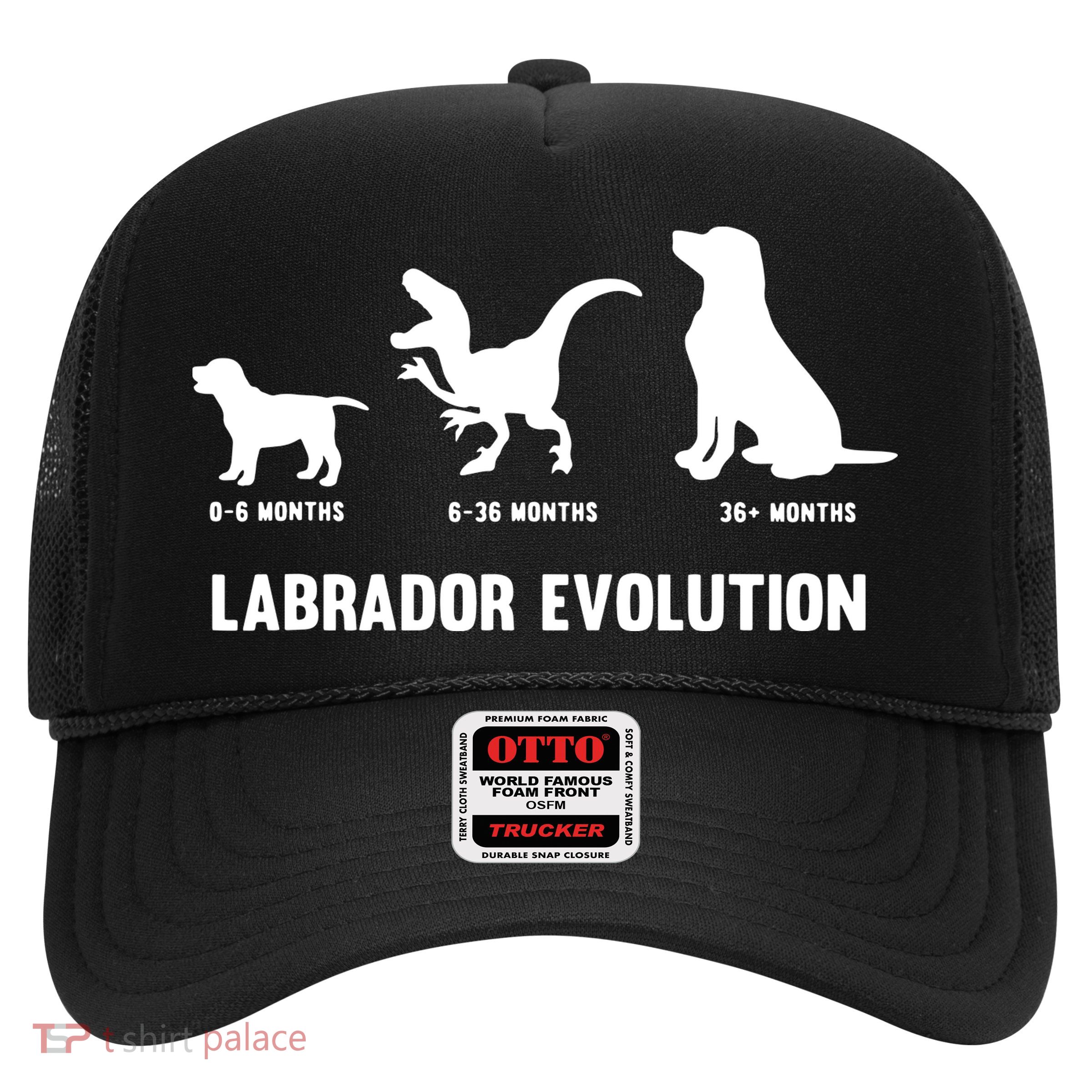 Labrador Retriever Evolution Design For A Labrador Owner Trucker Hat