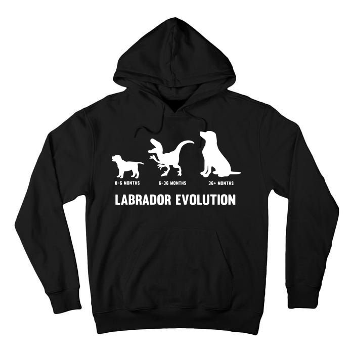 Labrador Retriever Evolution Design For A Labrador Owner Tall Hoodie