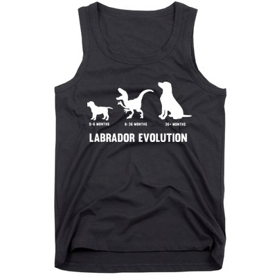 Labrador Retriever Evolution Design For A Labrador Owner Tank Top