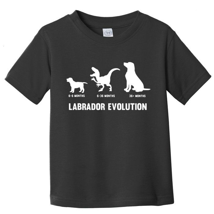 Labrador Retriever Evolution Design For A Labrador Owner Toddler T-Shirt